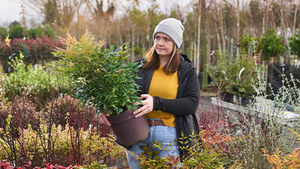 AXA Customer, Bryony, working in a garden