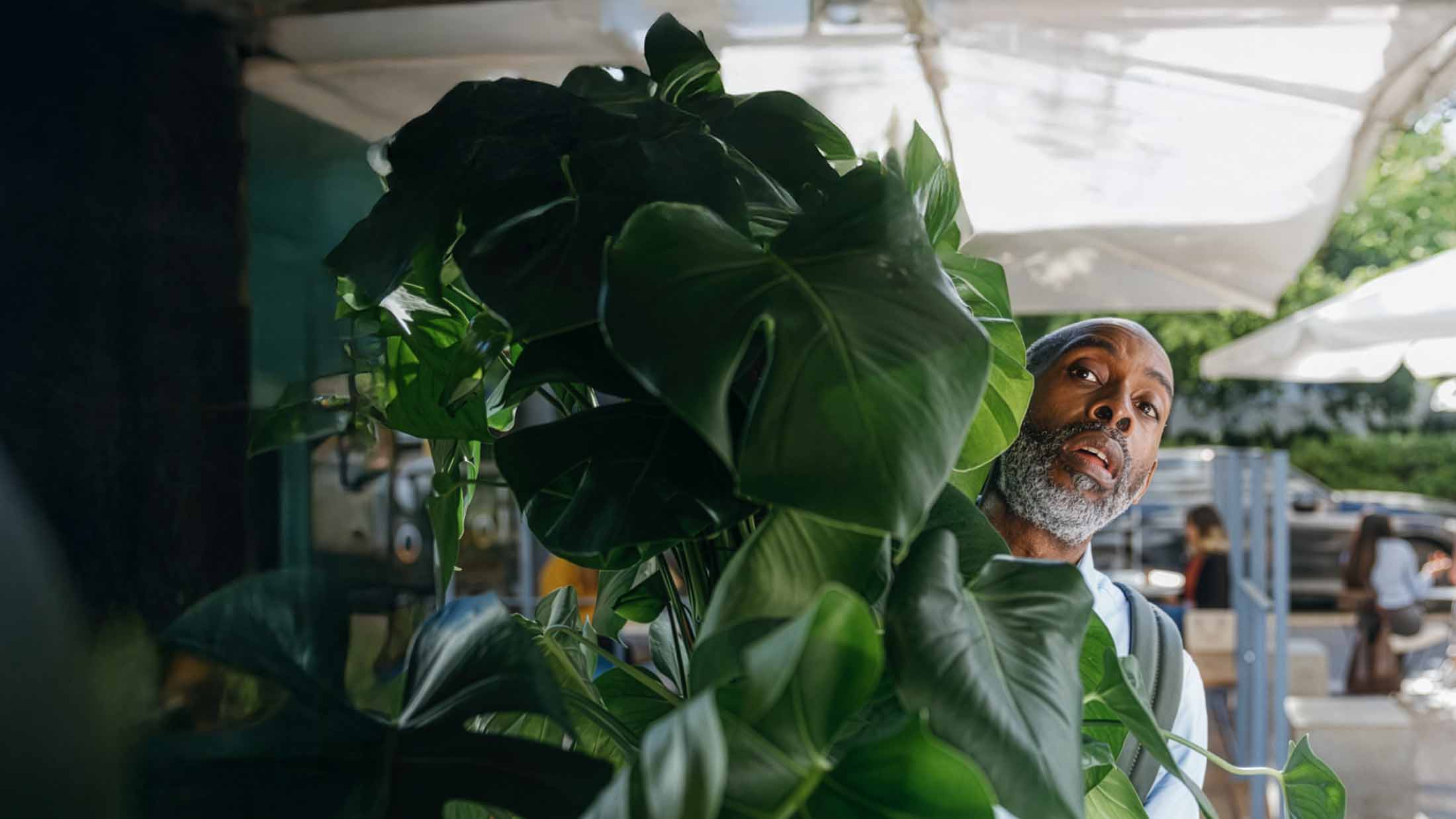 Mark hiding behind a plant after lying to his girlfriend about being a gardener