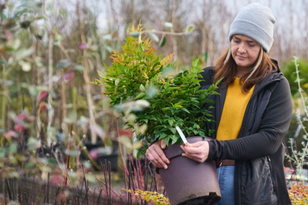 bryony lifting a pot in the garden