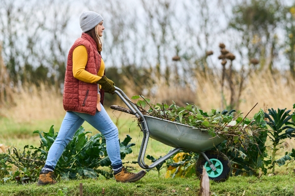 bryony pushing a wheelbarrow