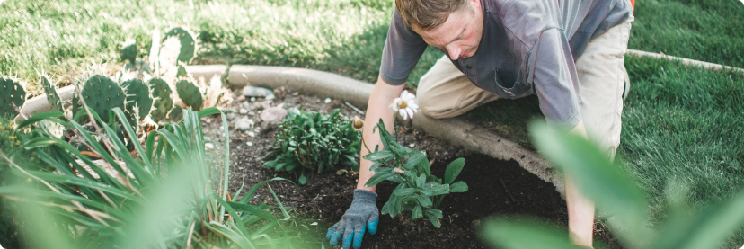 man-planting-bulbs-in-his-garden