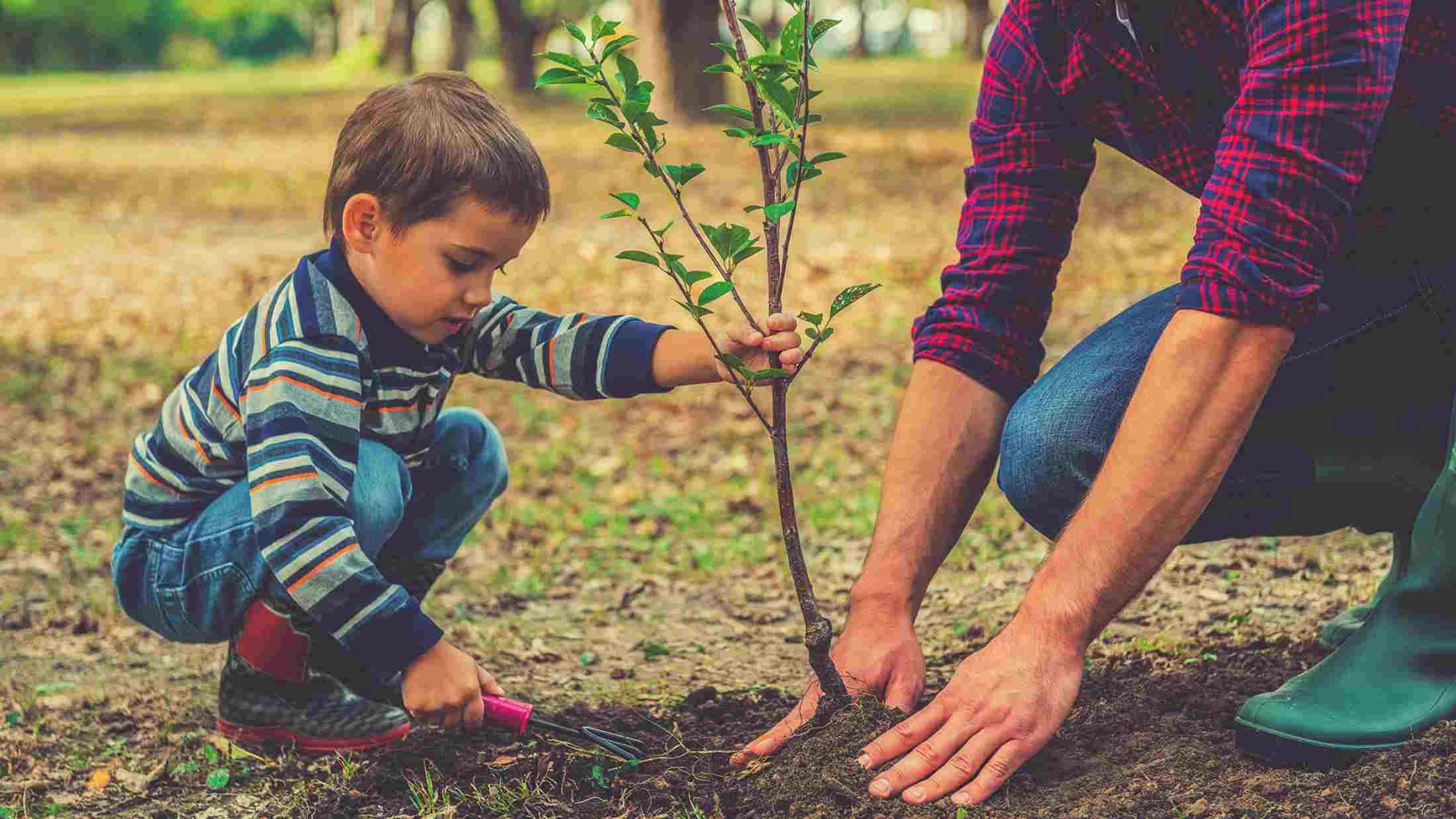 AXA Woodlands Trust header