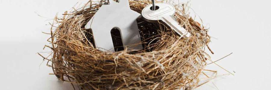 Key with house keyring within a bird's nest