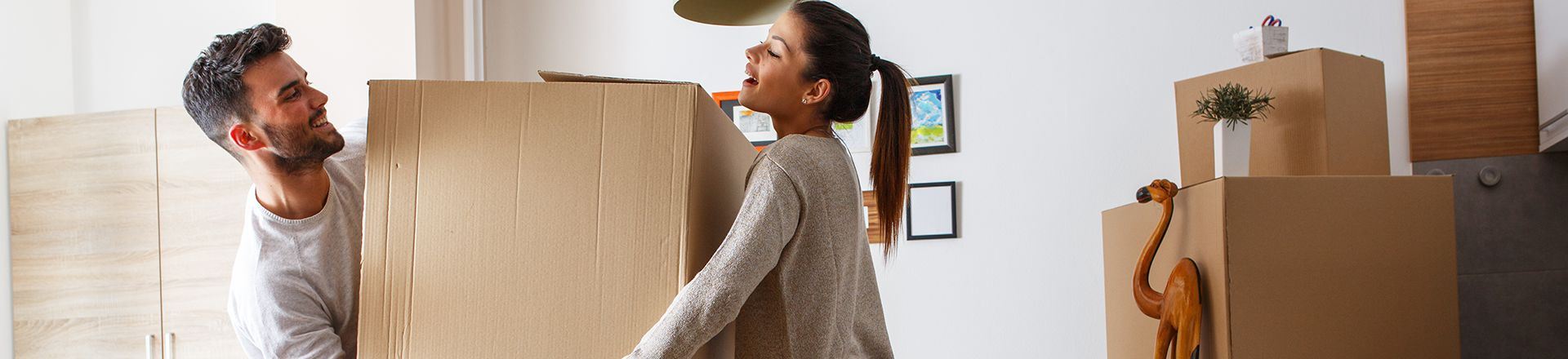 banner_longtermrenting_1320x440