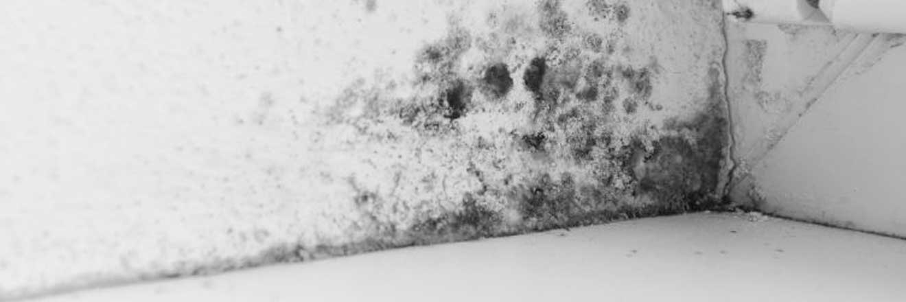 How To Get Rid Of Mould For Good