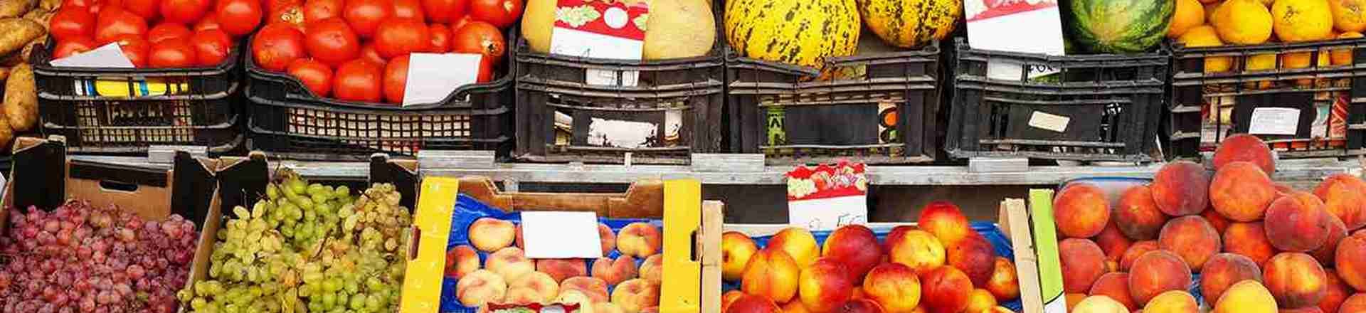 banner_greengrocercustomers_1320x440d242_banner_banner