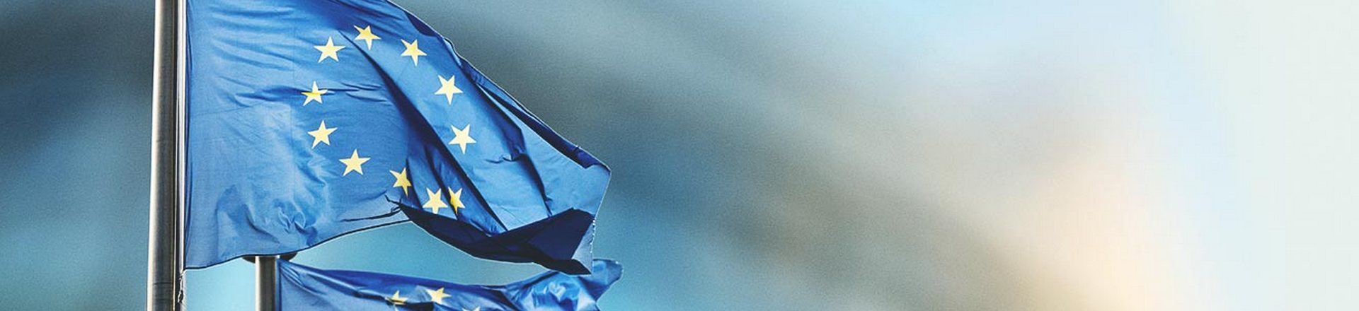banner_smeleaveeu_1320x4400b5d_banner_banner
