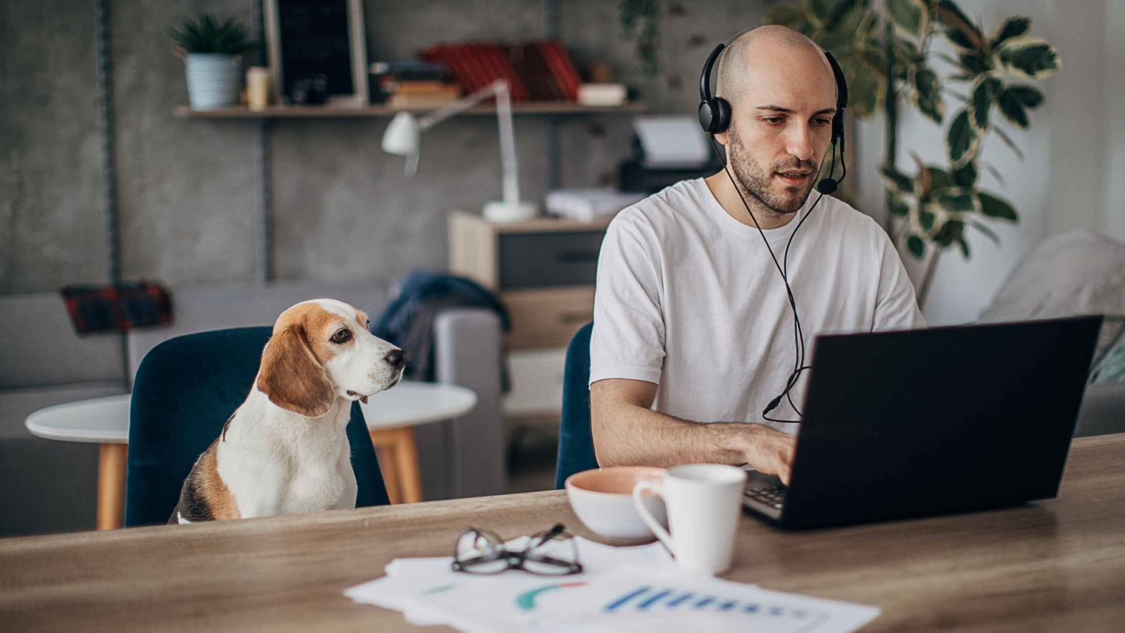 Middle aged man working on his laptop while a dog watches