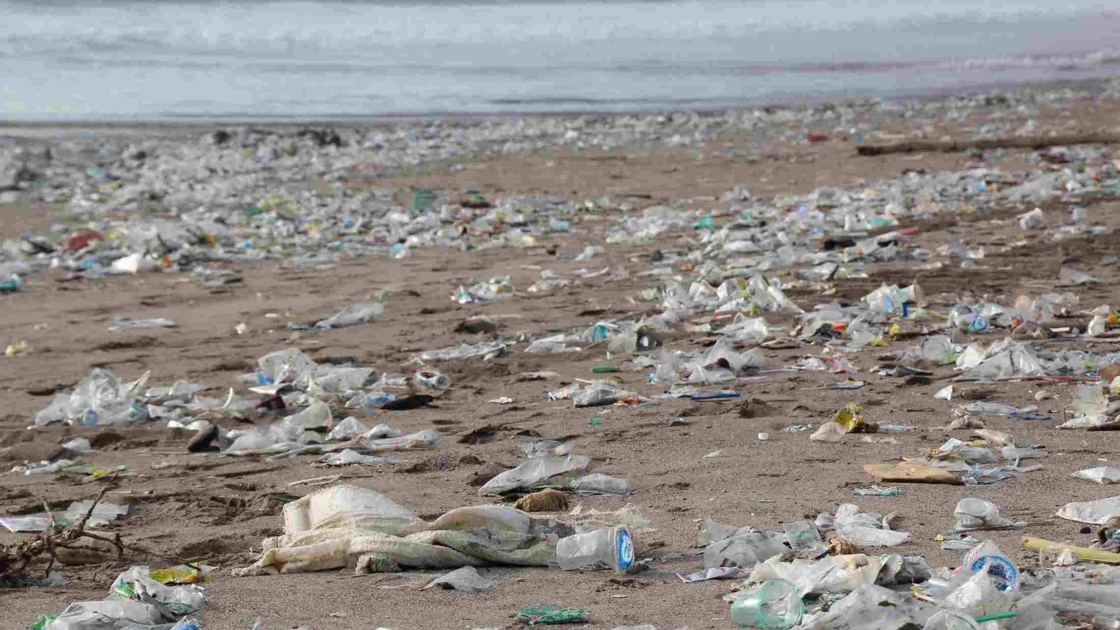 Litters cover most of the beach