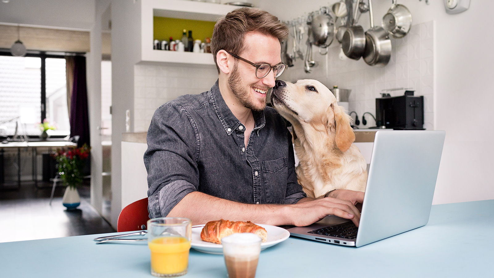 Pet Grooming Insurance AXA UK