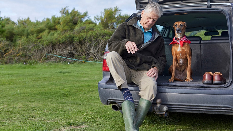 Dog Walking Insurance AXA UK