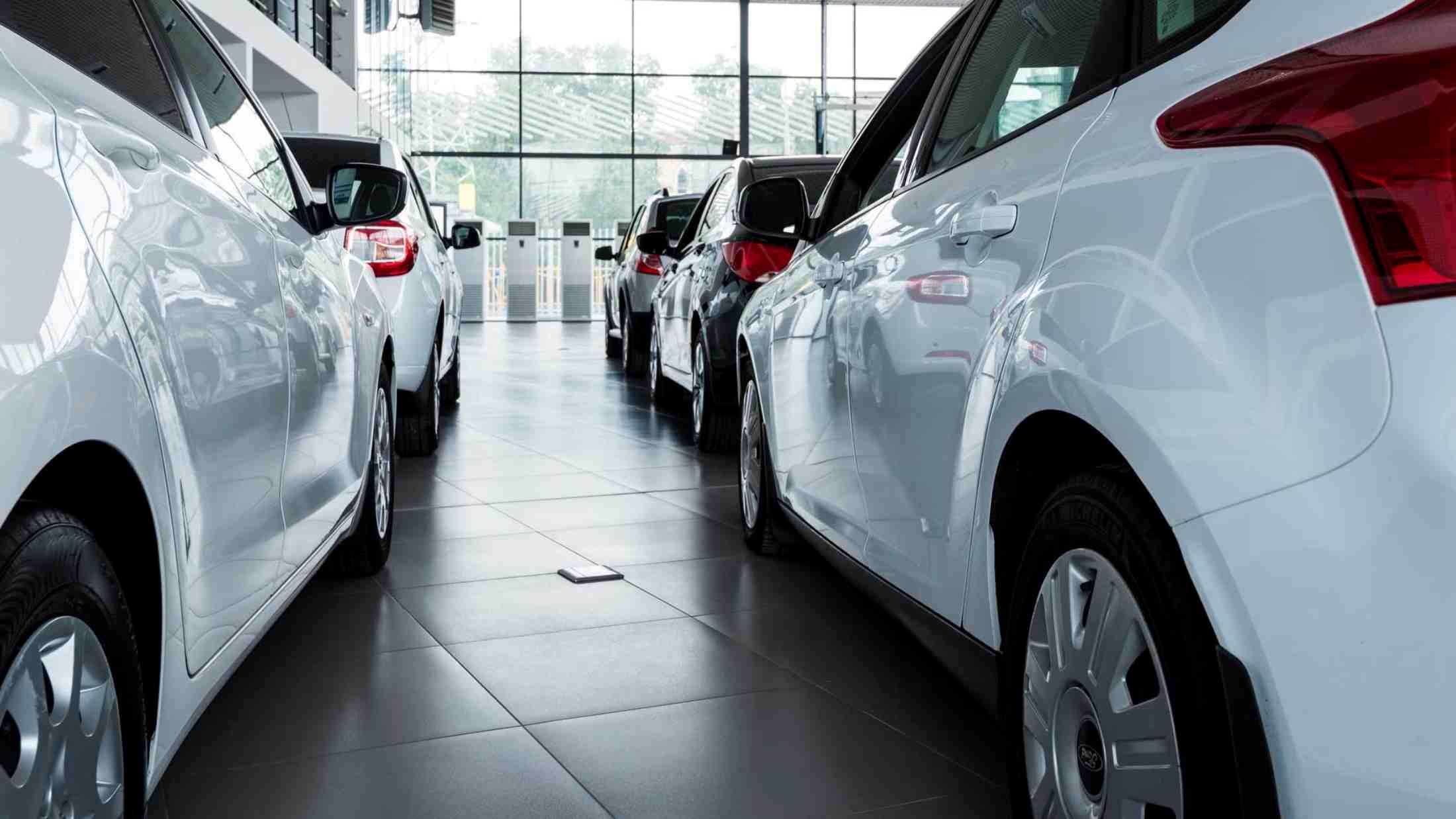 Rear view of white cars in dealership showroom