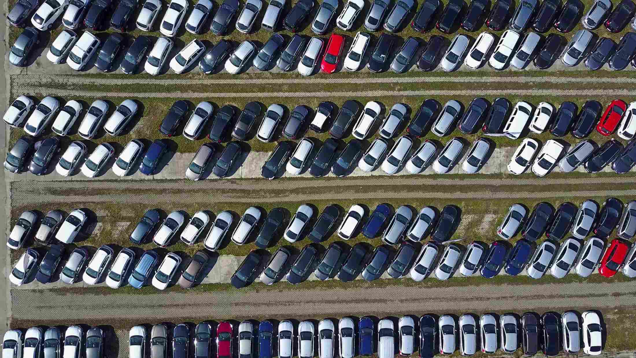 Used cars parked in rows