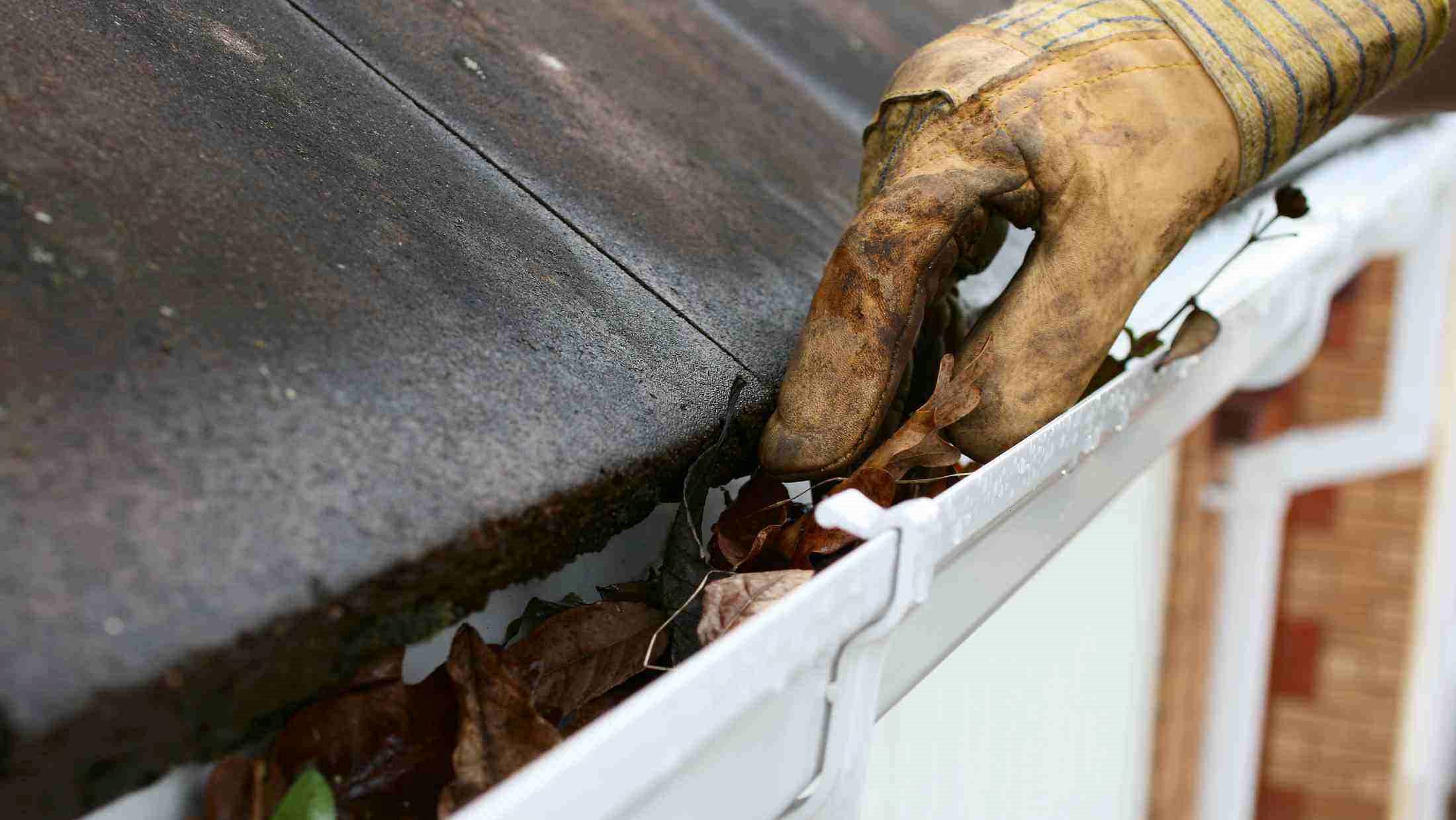 Glove being used to clear a gutter full of leaves