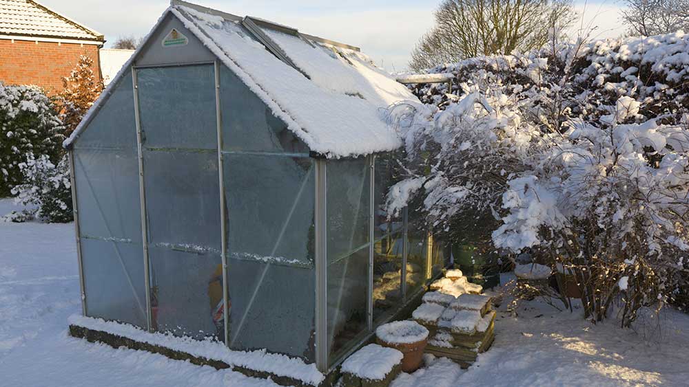 Greehouse with snow on roof in back garden