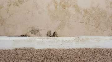 Dealing with rising damp