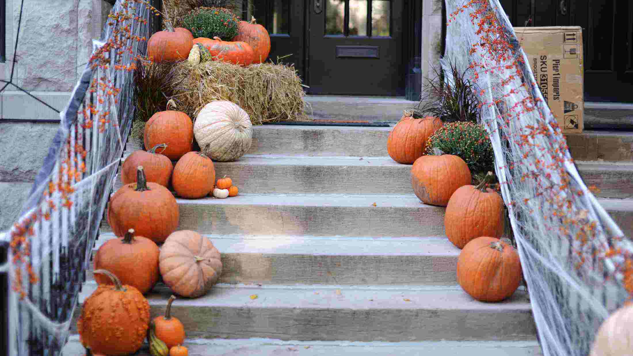Pumpkins lining a stairway