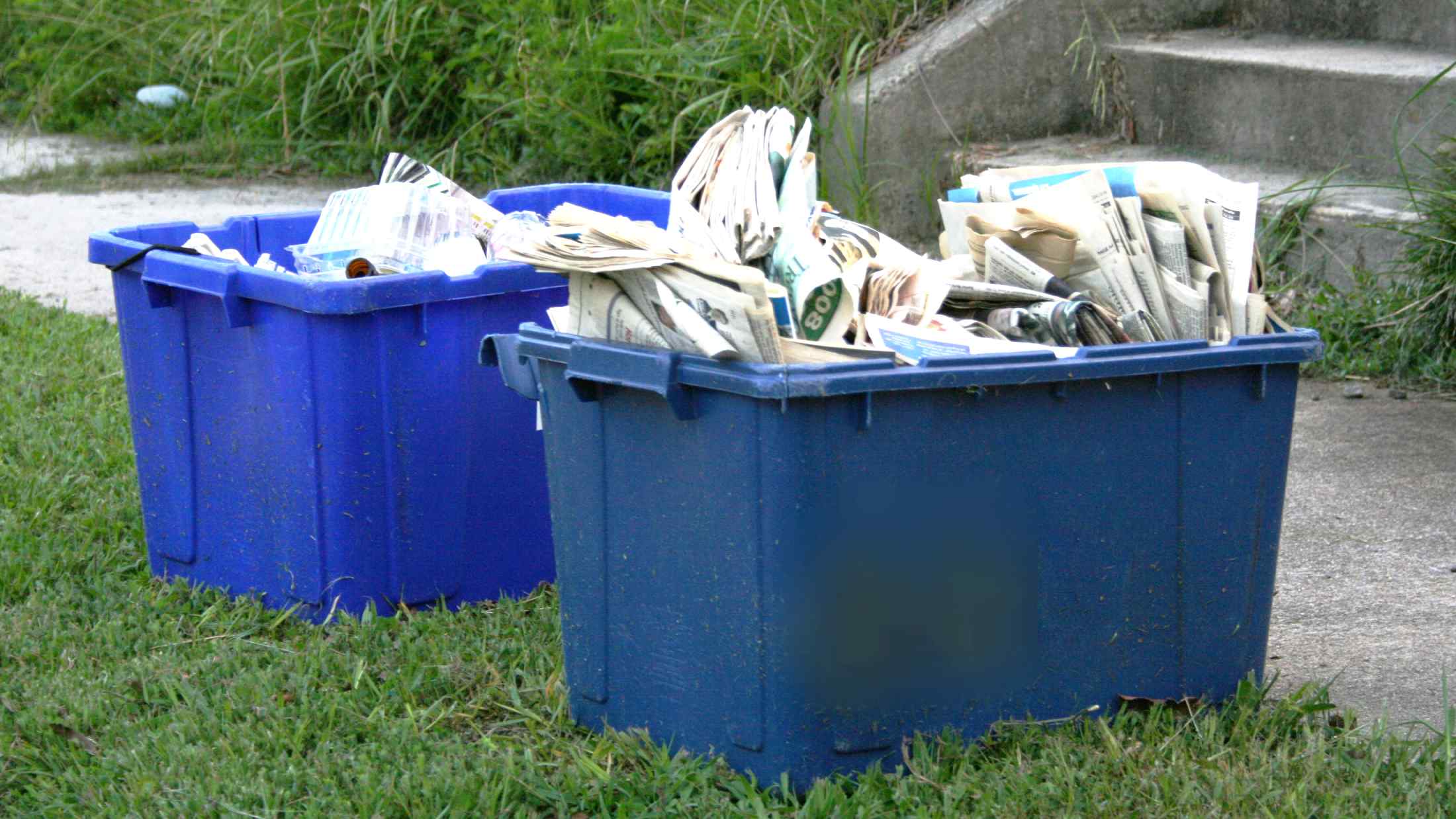 Recycling bins on grass verge outside a home